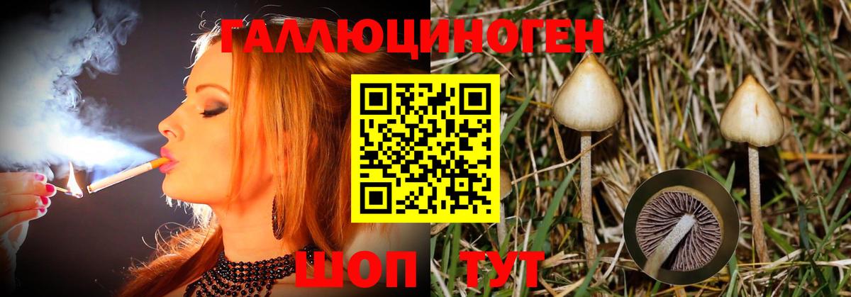 Псилоцибиновые грибы ЛСД Светлоград