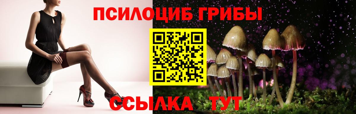 Светлоград  Галлюциногенные грибы GOLDEN TEACHER  Вход с VPN 